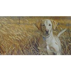 A Friend in the Field Labrador - Art Print by Steve Hamrick