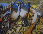 Just Rewards Wood Ducks - Art Print by Steve Hamrick
