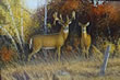 Autumn Glow - Art Print