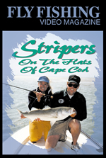 Stripers On The Flats Of Cape Cod MA DVD