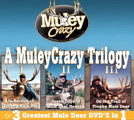 A MuleyCrazy Trilogy