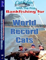 World Record Cats (Volume 14 DVD)