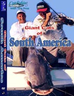 Giants Cats of South America (Volume 9 DVD)