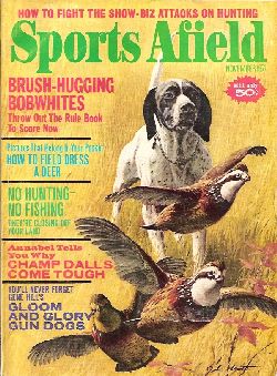 Vintage Sports Afield Magazine - November, 1971 - Good Condition