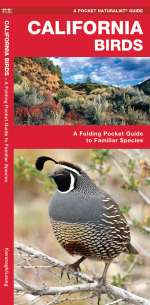California Birds - Pocket Guide