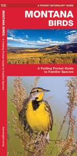 Montana Birds - Pocket Guide