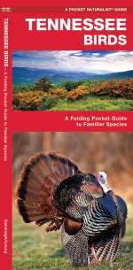 Tennessee Birds - Pocket Guide