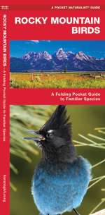 Rocky Mountain Birds - Pocket Guide
