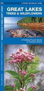 Great Lakes Trees & Wildflowers - Pocket Guide