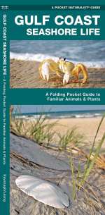Gulf Coast Seashore Life - Pocket Guide