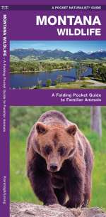 Montana Wildlife - Pocket Guide