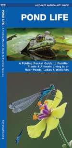 Pond Life - Pocket Guide