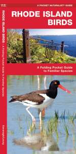 Rhode Island Birds - Pocket Guide