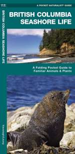 British Columbia Seashore Life - Pocket Guide