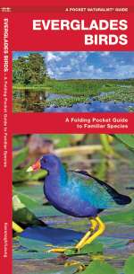 Everglades Birds - Pocket Guide