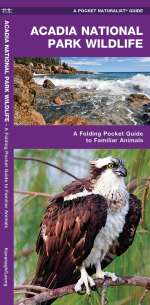 Acadia National Park Wildlife - Pocket Guide