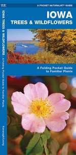 Iowa Trees & Wildflowers - Pocket Guide
