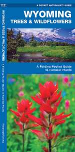 Wyoming Trees & Wildflowers - Pocket Guide