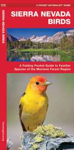 Sierra Nevada Birds - Pocket Guide