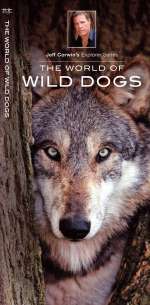 The World of Wild Dogs - Pocket Guide