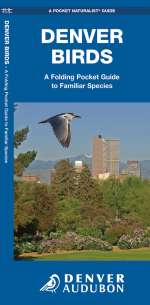Denver Birds - Pocket Guide