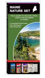 Maine Nature Set - 3 Pocket Guides