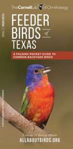 Feeder Birds of Texas - Pocket Guide