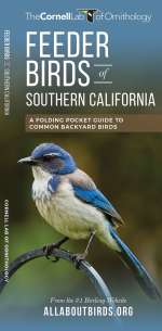 Feeder Birds of Southern California - Pocket Guide