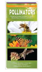 Pollinators Set - 3 Pocket Guides