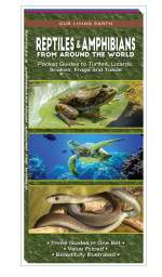 Reptiles & Amphibians From Around the World Set - 3 Pocket Guides