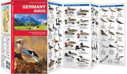 Germany Birds