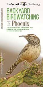 Backyard Birdwatching in Phoenix - Pocket Guide