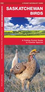 Saskatchewan Birds - Pocket Guide