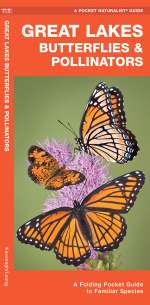 Great Lakes Butterflies & Pollinators - Pocket Guide