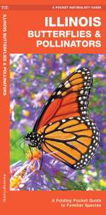 Illinois Butterflies & Pollinators - Pocket Guide