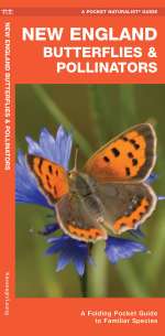 New England Butterflies & Pollinators - Pocket Guide