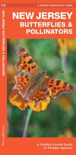 New Jersey Butterflies & Pollinators - Pocket Guide