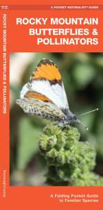 Rocky Mountain Butterflies & Pollinators - Pocket Guide