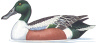 Waterfowl Images
