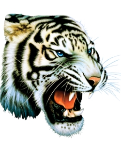 White Tiger Door Mat