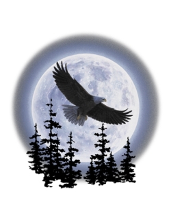 Eagle Moon Zip Up Hooded Sweatshirt