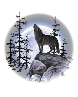 Wolf Moon Standing Long Sleeve T-Shirt