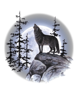 Wolf Moon Standing Ladies Tee