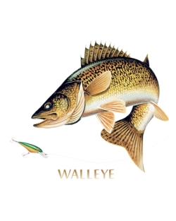 Walleye Combination Zip Up Hooded Sweatshirt