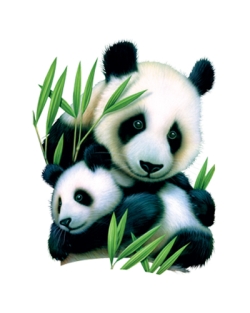 Panda and Cub Door Mat