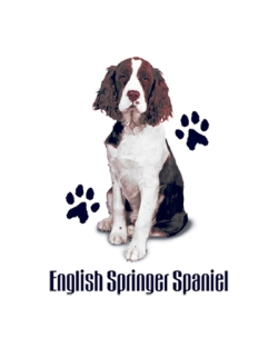 English Springer Spaniel Long Sleeve T-Shirt