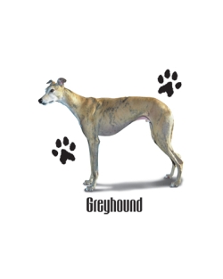 Greyhound Pullover Hooded Sweatshirt