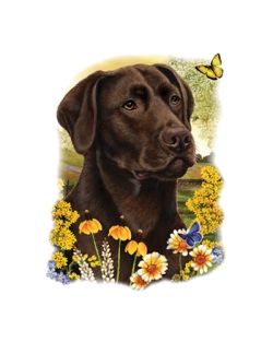 Chocolate Lab Long Sleeve T-Shirt 2XL