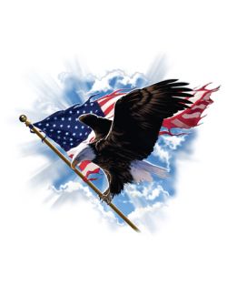 Patriotic Flying Eagle Door Mat