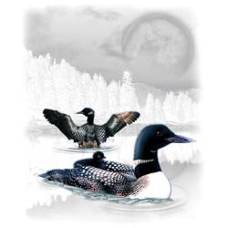 Loon Wilderness Door Mat